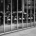 Bicycle reflections (105570-3A)