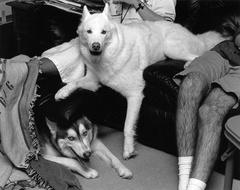 Lexy and NIcky