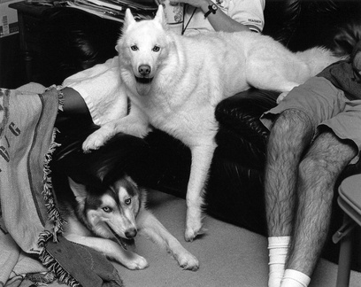 Lexy and NIcky