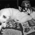 Lexy and Nicky