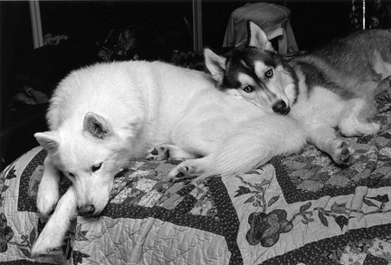 Lexy and Nicky