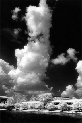 Big Spring Park (Infrared film)