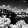 Walnut Street Pedestrian Bridge - Infrared  (105310-18)