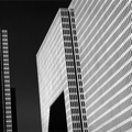 San Francisco Skyscrapers (105060-21)