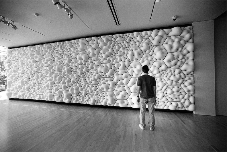 My son contemplates art at SFMOMA.
Nikon F100 with SIgma 28-70 f2.8 lens.
TMY-2 (TMax 400) at EI 400, developed in Xtol 1:1.
Printed on Adorama RC Glossy 8x10 and developed in Dektol 1:2. 60 sec exposure with 20 sec (a little too much) dodge on person followed by 45 sec left gradient burn. Filtration equivalent to grade #3.
flickr-6551350743.jpg
