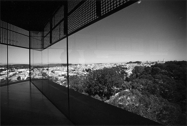 View from the de Young Museum Tower (105150-1)