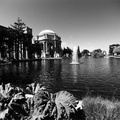 Palace of Fine Arts (105100-16)