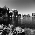 Palace of Fine Arts (105100-16)