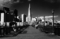 Transamerica Bldg from Pier 5 (infrared) (105040-34)