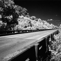 Bridge on Hobbs Island Rd