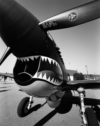 P-40 Warhawk WWII fighter plane