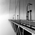 Golden Gate Bridge disappearing into fog (105100-2)