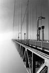 Golden Gate Bridge disappearing into fog (105100-2)