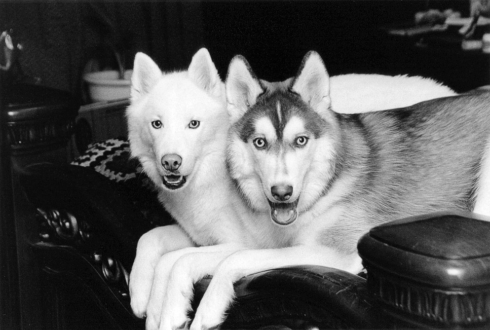 Lexy and Nicky